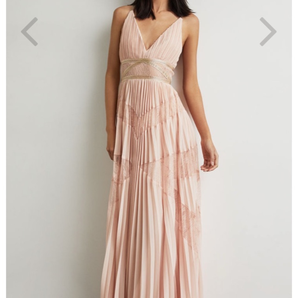 Bcbgmaxazaria blush gown